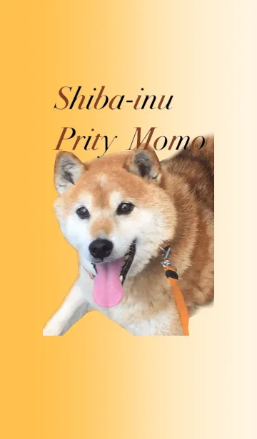 柴犬 ももの ほのぼのライフの着せ替えメイン画像