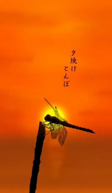 夕焼けとんぼの着せ替えメイン画像