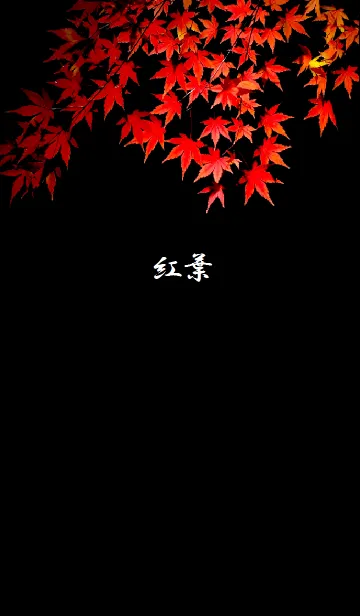 [LINE着せ替え] 日本の紅葉の画像1