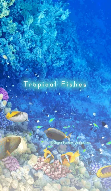 [LINE着せ替え] Tropical Fishesの画像1