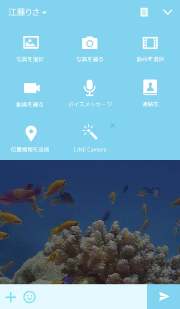 [LINE着せ替え] Tropical Fishesの画像4