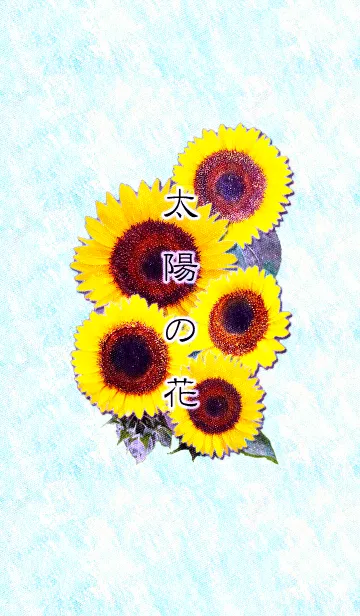 [LINE着せ替え] 太陽の花の画像1