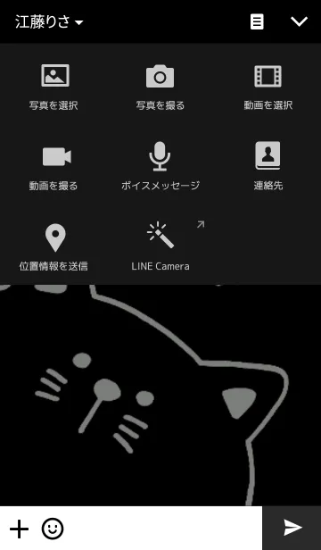 [LINE着せ替え] B and W catの画像4