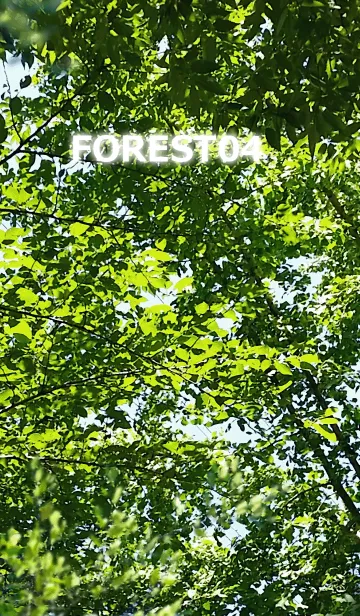 FOREST-森林04の着せ替えメイン画像