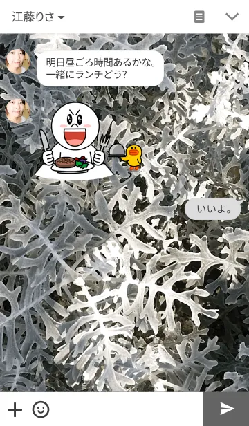 [LINE着せ替え] PLANT-植物の画像3