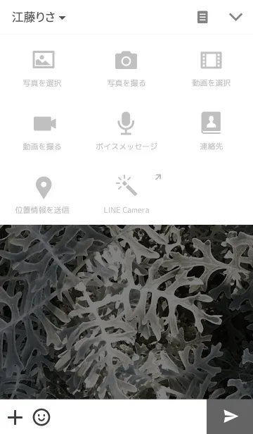 [LINE着せ替え] PLANT-植物の画像4