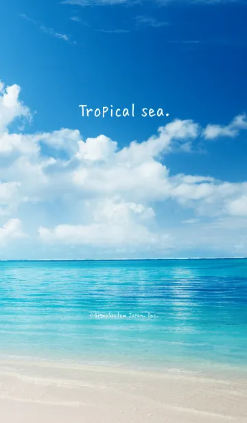 [LINE着せ替え] Tropical seaの画像1