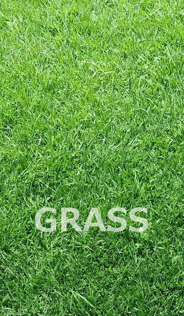 [LINE着せ替え] GRASS-芝の画像1