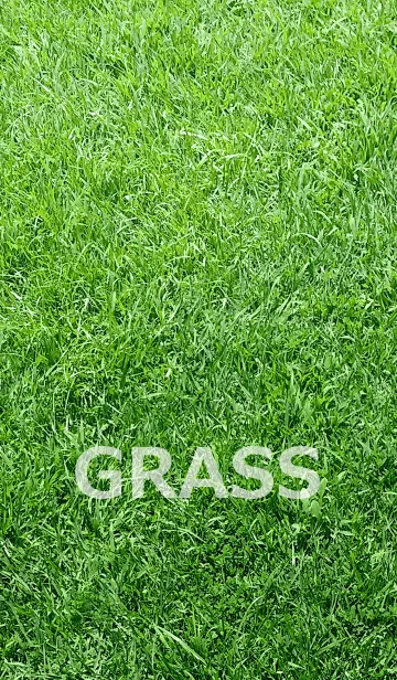 GRASS-芝のLINE着せ替え