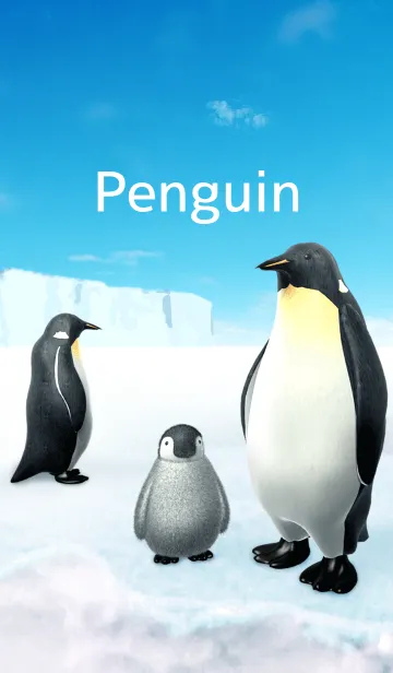 [LINE着せ替え] Penguin ~ ペンギンの画像1