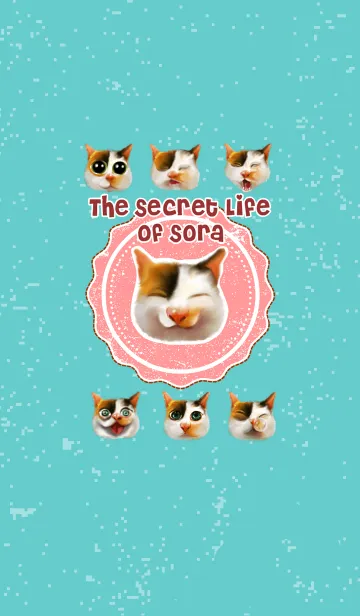 [LINE着せ替え] ソラのテーマの秘密の生活の画像1