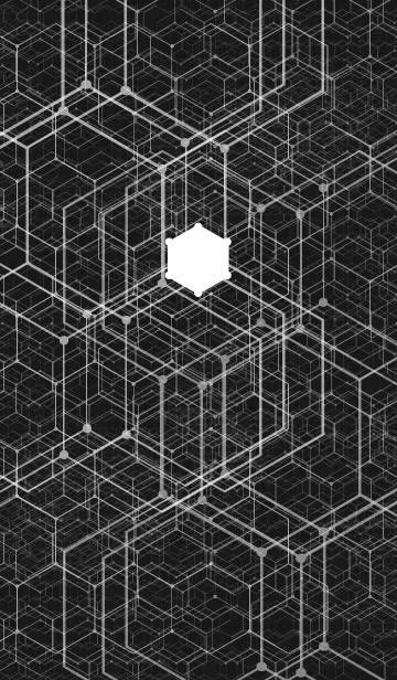 [LINE着せ替え] BLACK-HEXAGONの画像1