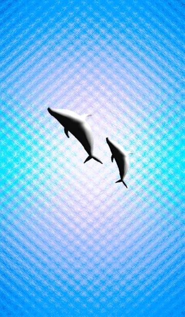 [LINE着せ替え] ●イルカーdolphinsの画像1