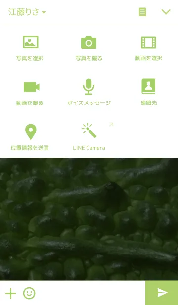 [LINE着せ替え] ゴーヤの画像4