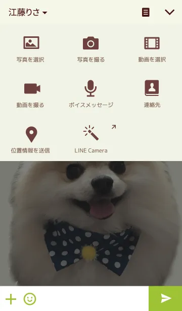 [LINE着せ替え] ポメラニアンのぽんちゃん☆の画像4
