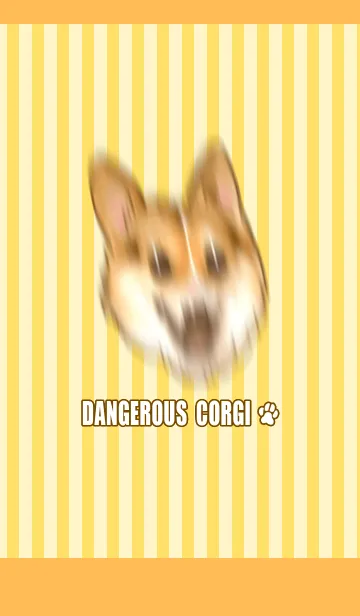 [LINE着せ替え] 荒ぶるコーギーのおきがえの画像1