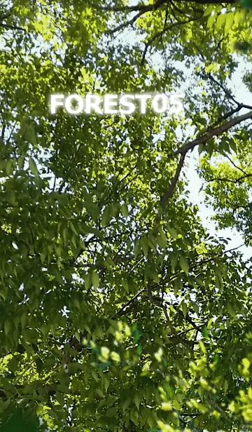 [LINE着せ替え] FOREST-森林05の画像1