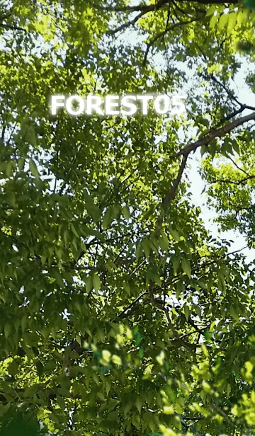 FOREST-森林05の着せ替えメイン画像