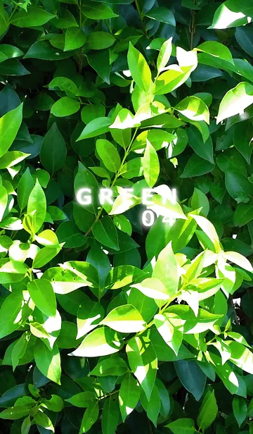 [LINE着せ替え] GREEN-緑04の画像1