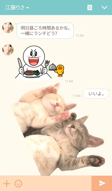[LINE着せ替え] 子猫だらけの画像3