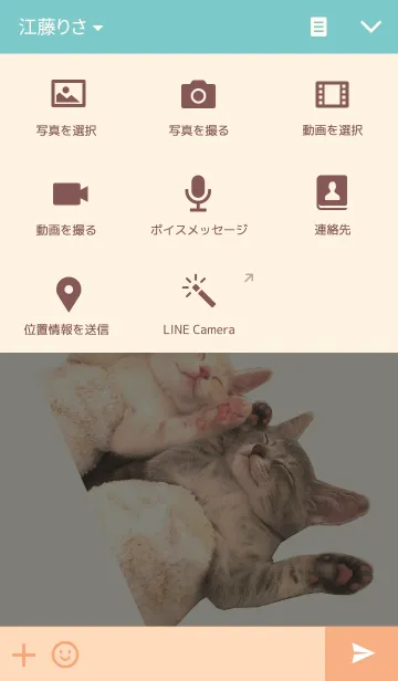 [LINE着せ替え] 子猫だらけの画像4