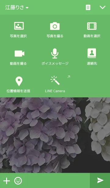 [LINE着せ替え] あじさい(hydrangea)の画像4