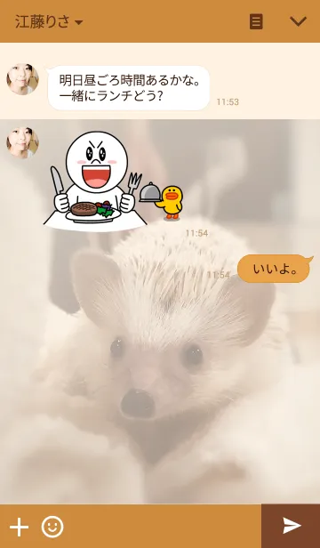 [LINE着せ替え] はりねずみのタワシくんの画像3