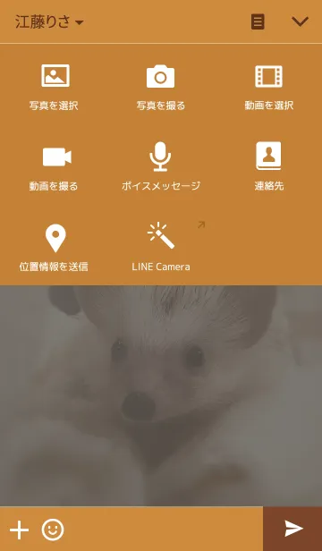 [LINE着せ替え] はりねずみのタワシくんの画像4