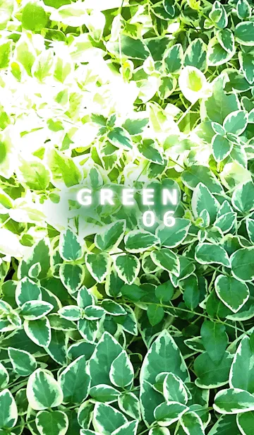[LINE着せ替え] GREEN-緑06の画像1