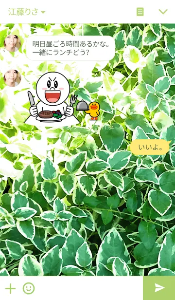 [LINE着せ替え] GREEN-緑06の画像3