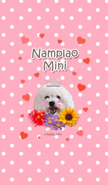 [LINE着せ替え] Toy poodle "NAMPLAO"の画像1