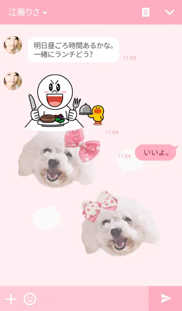 [LINE着せ替え] Toy poodle "NAMPLAO"の画像3
