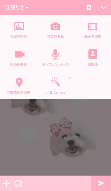 [LINE着せ替え] Toy poodle "NAMPLAO"の画像4