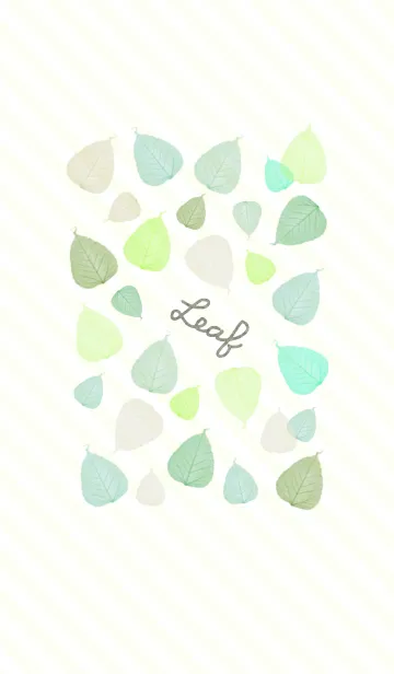 [LINE着せ替え] 葉6-色とりどり-の画像1