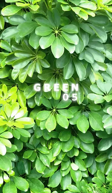 [LINE着せ替え] GREEN-緑05の画像1