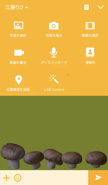 [LINE着せ替え] キノコが好きなあなたに「ツクリタケ」実写の画像4