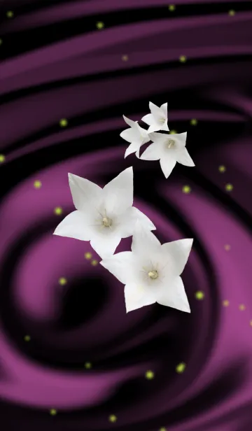 [LINE着せ替え] White chinese bellflower ~白桔梗~の画像1