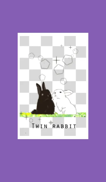 [LINE着せ替え] Twin rabbitの画像1