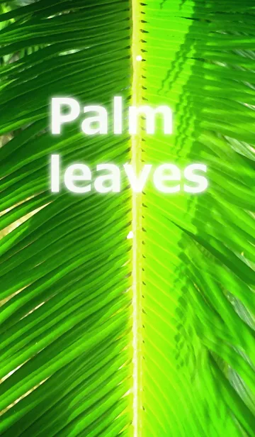 [LINE着せ替え] Palm leaves-ヤシの葉の画像1