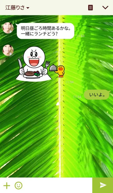 [LINE着せ替え] Palm leaves-ヤシの葉の画像3
