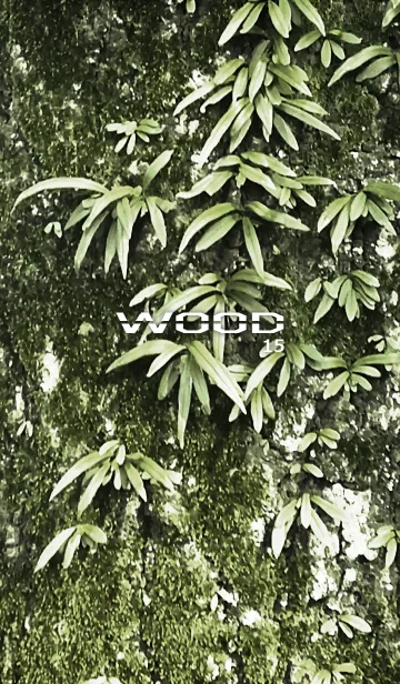 WOOD15の着せ替えメイン画像