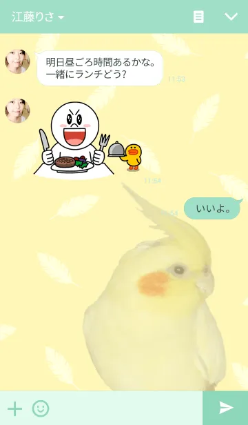 [LINE着せ替え] ラブリーバード オカメインコの画像3