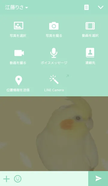 [LINE着せ替え] ラブリーバード オカメインコの画像4