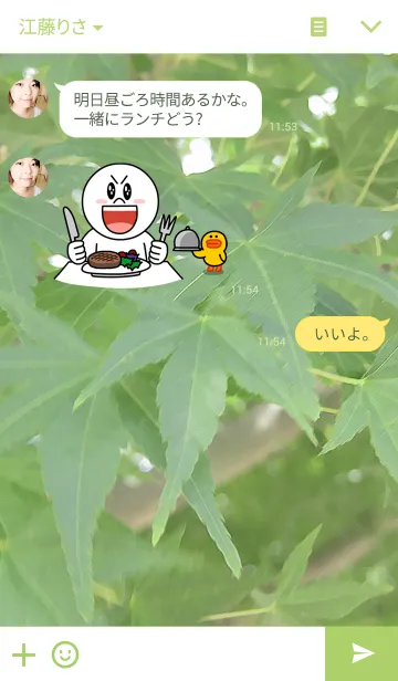 [LINE着せ替え] もみじ01(maple01)の画像3