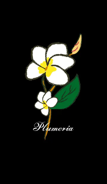 [LINE着せ替え] Plumeria Flowerの画像1
