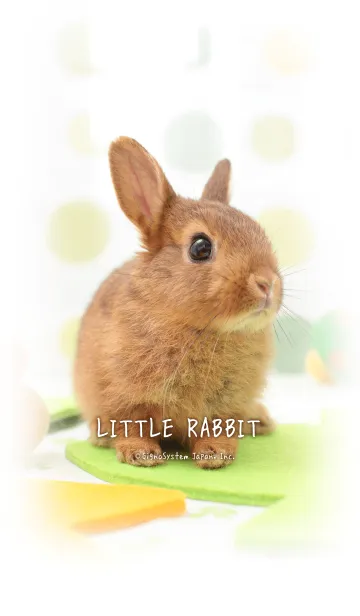 [LINE着せ替え] LITTLE RABBITの画像1