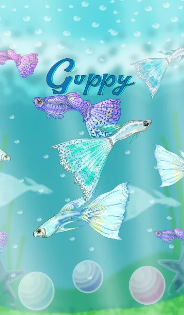 Guppyの着せ替えメイン画像