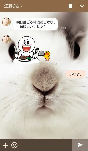 [LINE着せ替え] もふもふうさぎの画像3