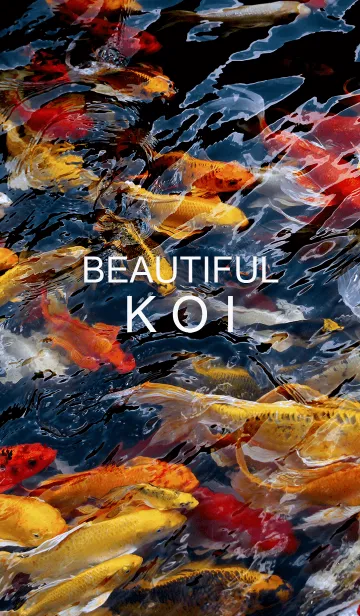 [LINE着せ替え] Beautiful Koiの画像1