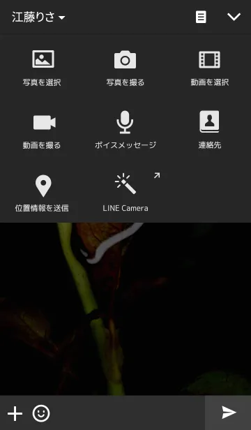 [LINE着せ替え] Underwater Red Roseの画像4